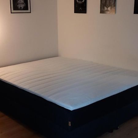 Mariánské Lázně Apartman Kurt מראה חיצוני תמונה