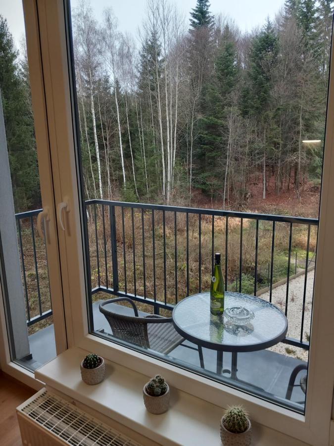 Mariánské Lázně Apartman Kurt מראה חיצוני תמונה